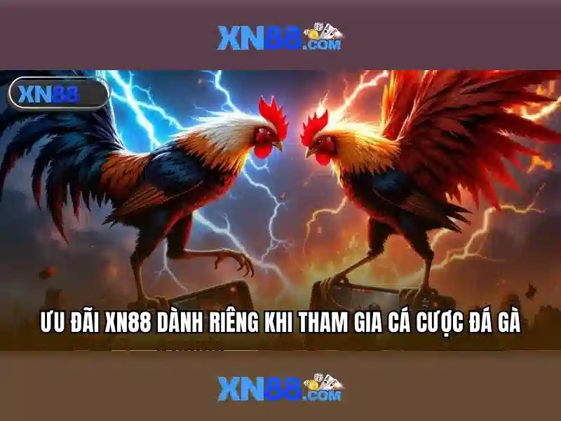 Hướng dẫn tải XN88 app